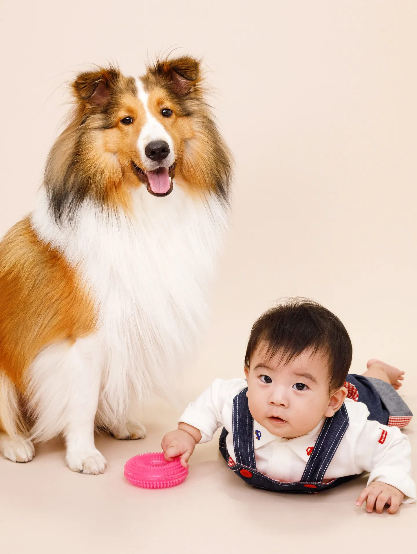 【BEIGE Backdrop Photoshoot -2シ...