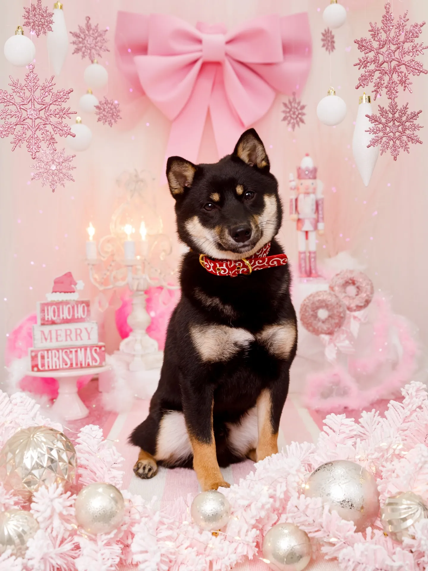 【2025クリスマス🎄ブース〜SWEET🍬Christmas...