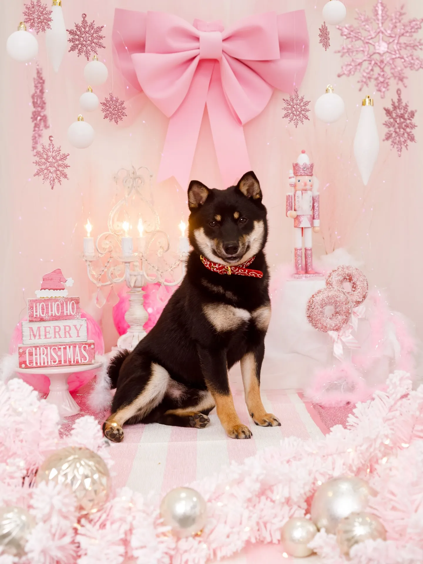 【2025クリスマス🎄ブース〜SWEET🍬Christmas...