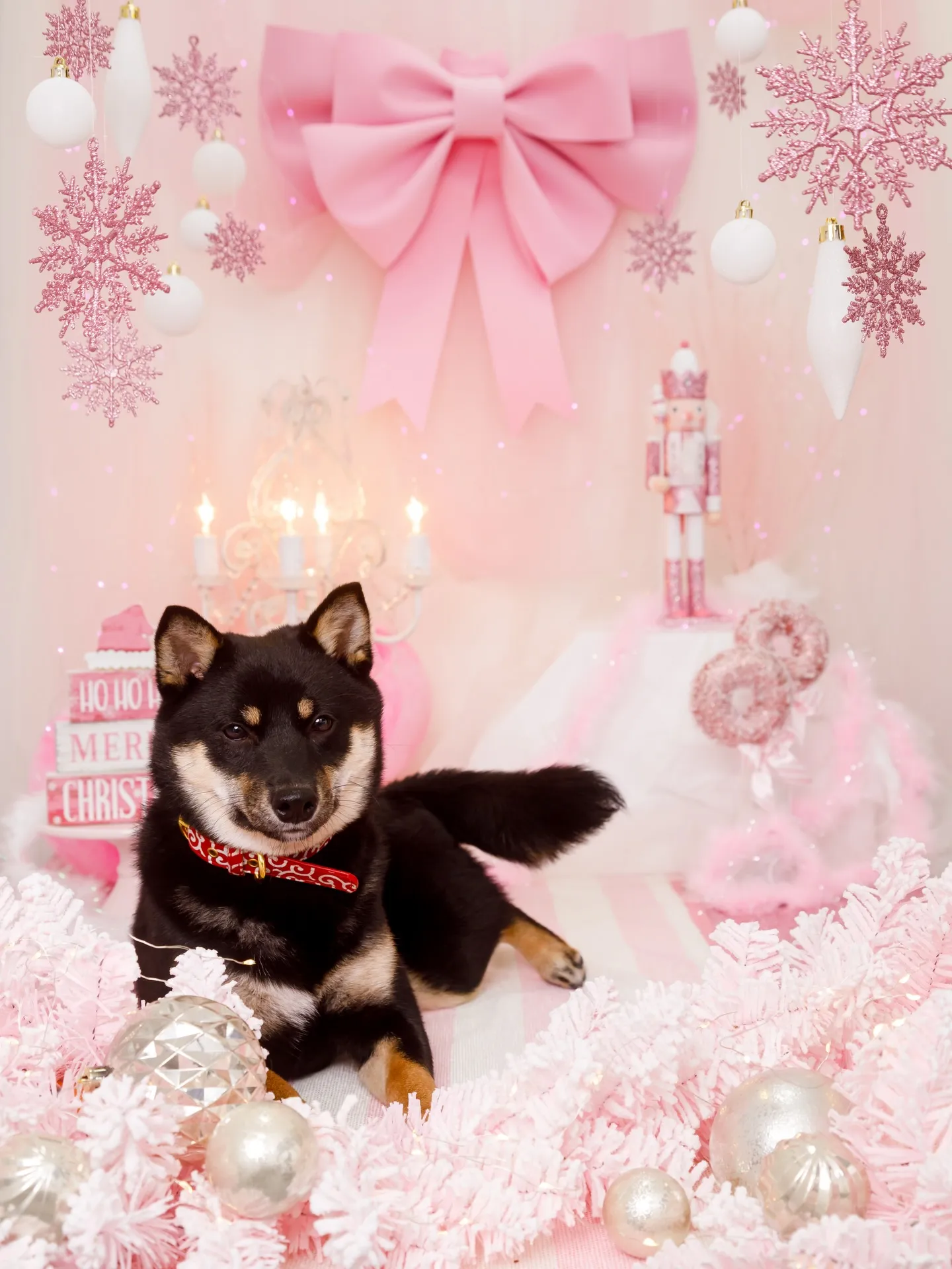 【2025クリスマス🎄ブース〜SWEET🍬Christmas...