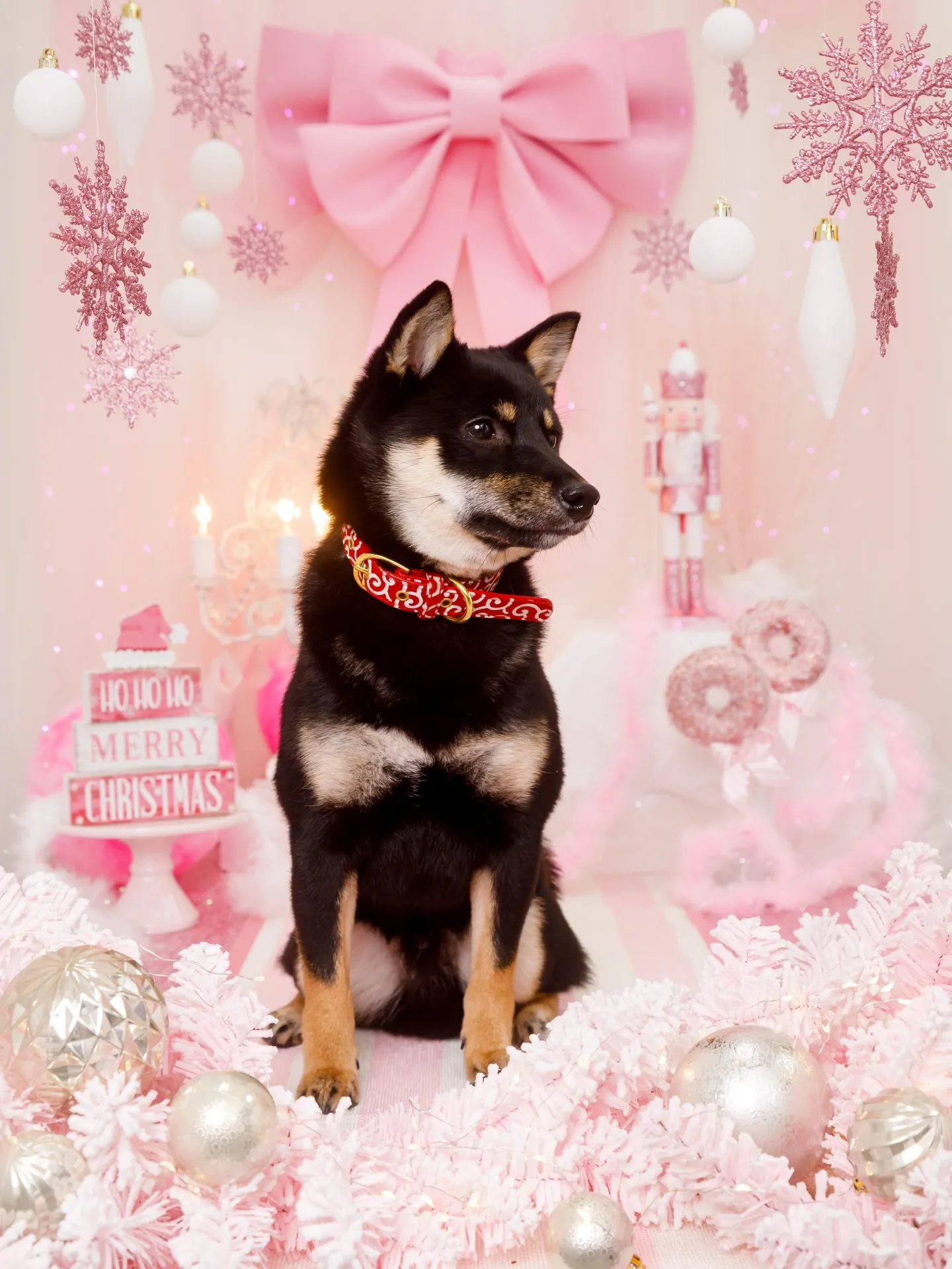 【2025クリスマス🎄ブース〜SWEET🍬Christmas...