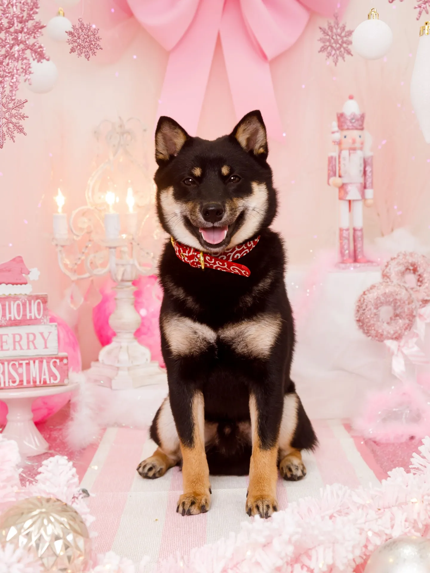 【2025クリスマス🎄ブース〜SWEET🍬Christmas...