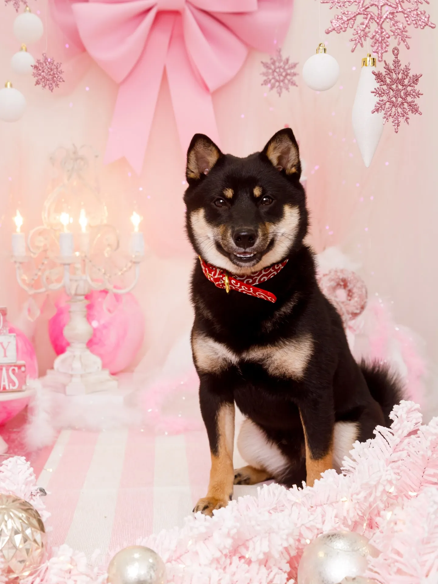 【2025クリスマス🎄ブース〜SWEET🍬Christmas...