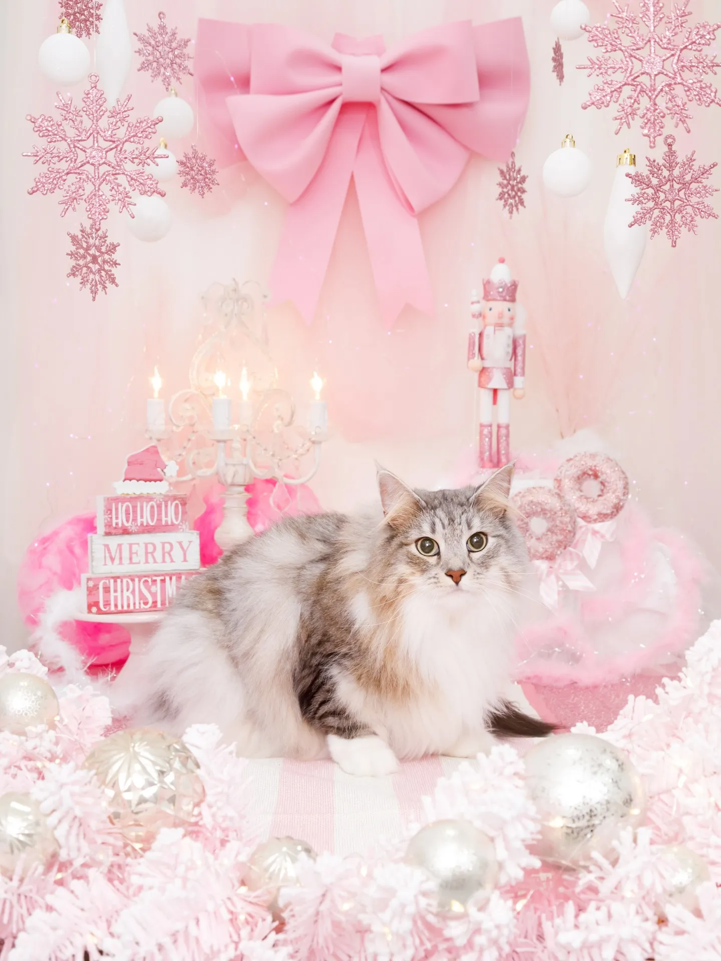 【2025クリスマス🎄ブース〜SWEET🍬Christmas...