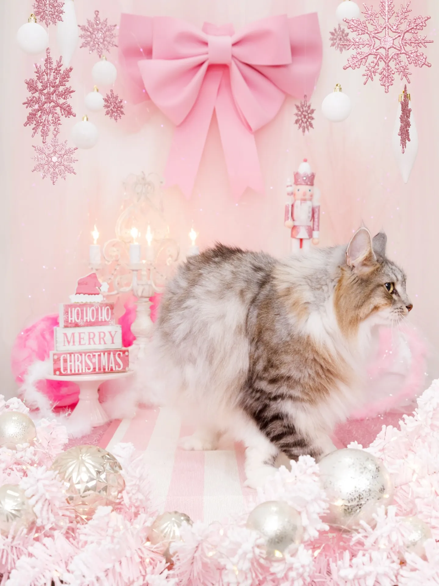 【2025クリスマス🎄ブース〜SWEET🍬Christmas...