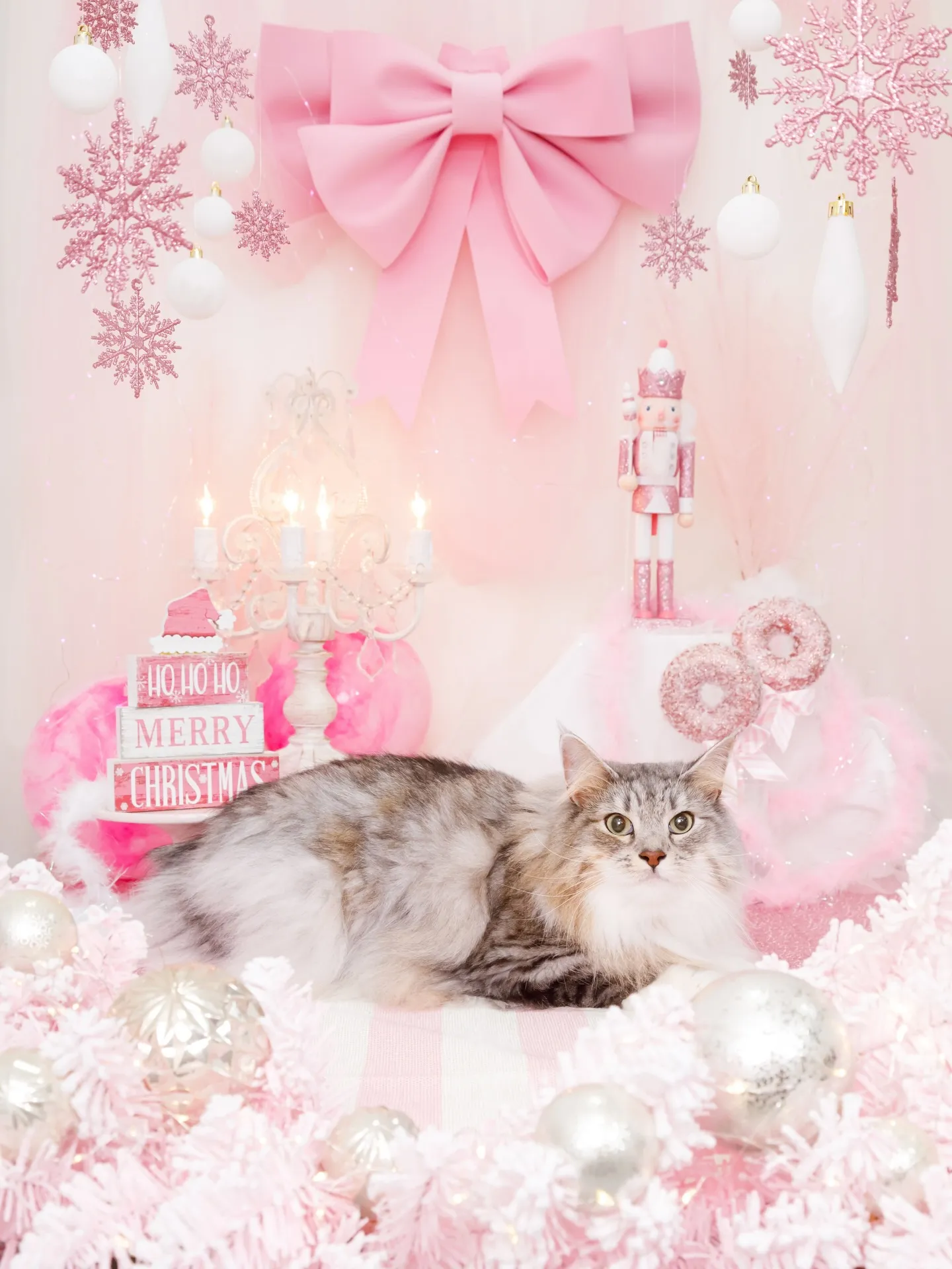 【2025クリスマス🎄ブース〜SWEET🍬Christmas...