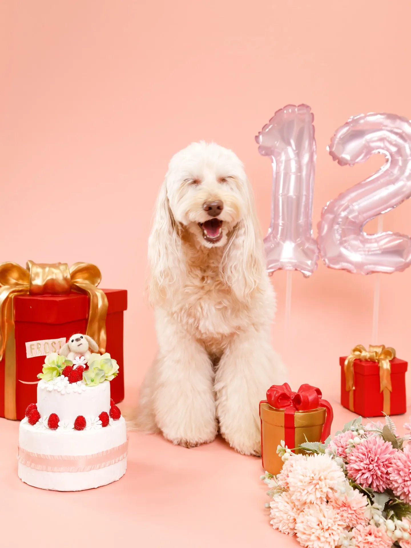 【PINK Backdrop -装飾アレンジ-】