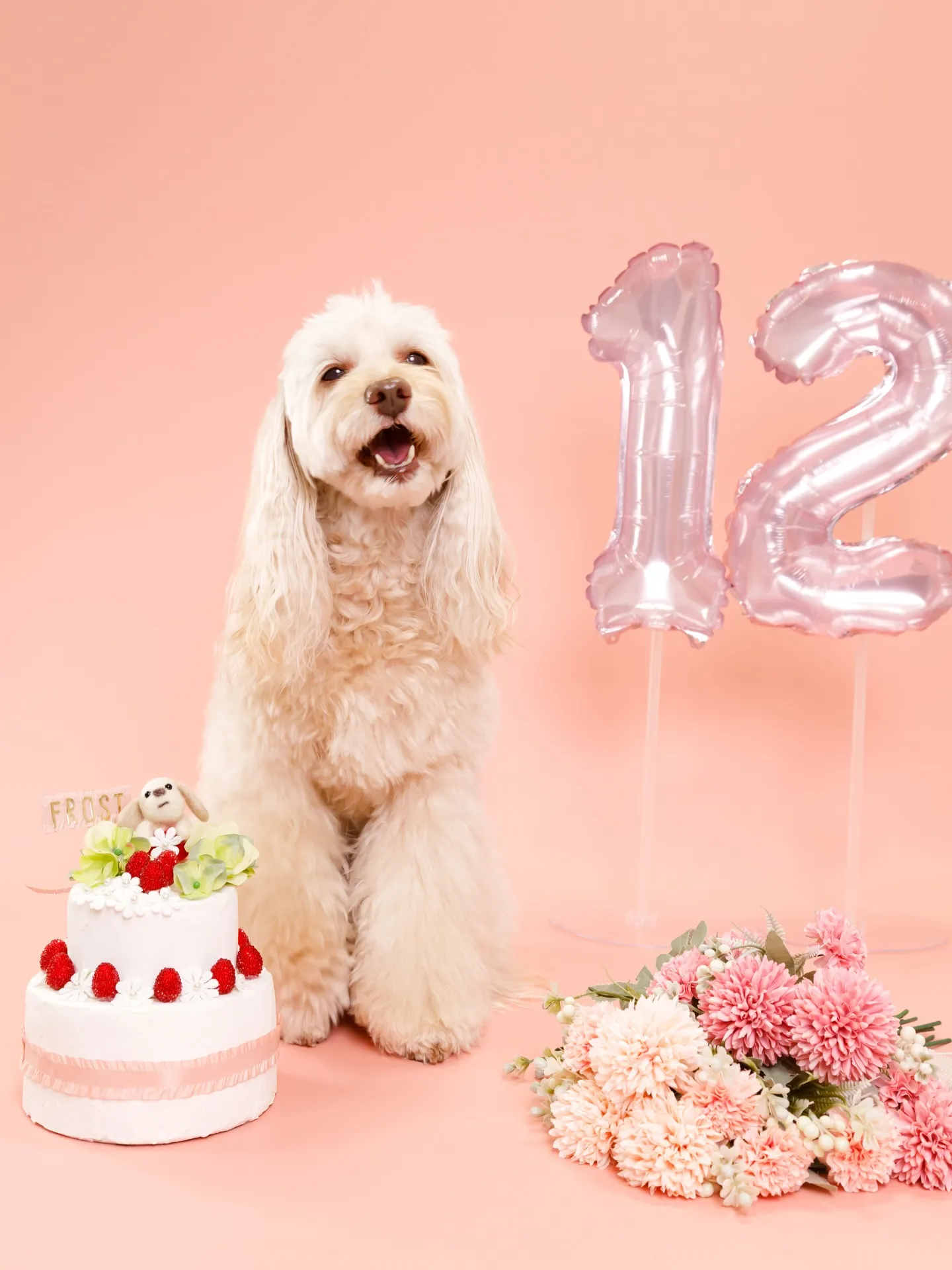 【PINK Backdrop -装飾アレンジ-】