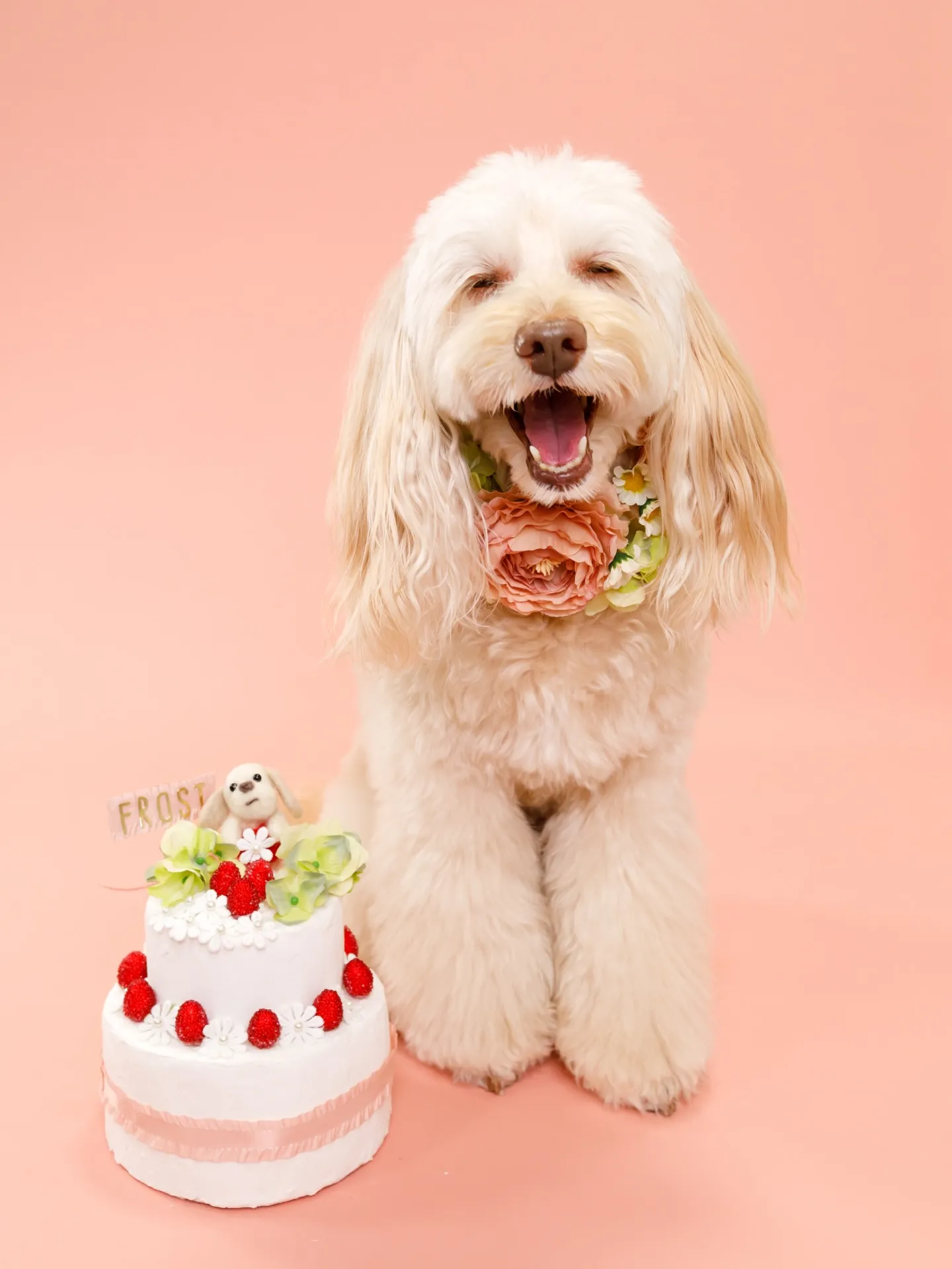 【PINK Backdrop -装飾アレンジ-】