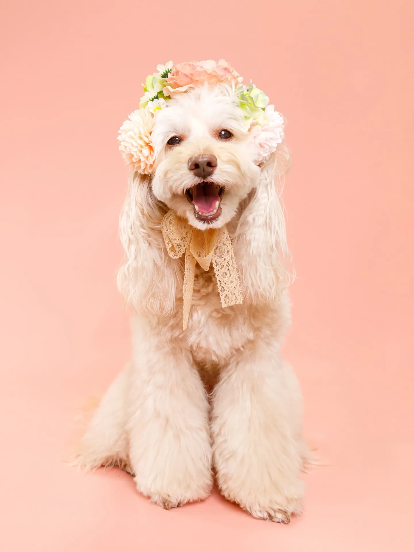 【PINK Backdrop -装飾アレンジ-】