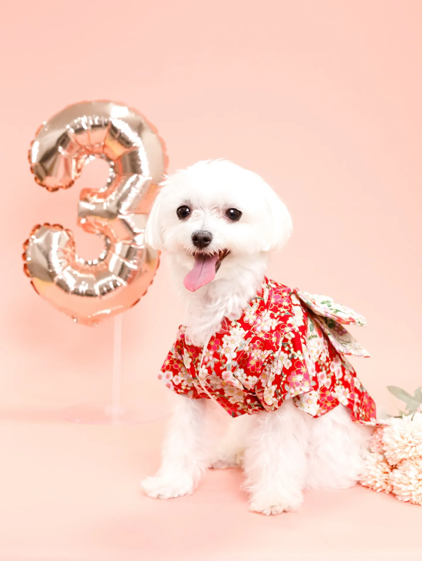 【PINK Backdrop -着物撮影-】