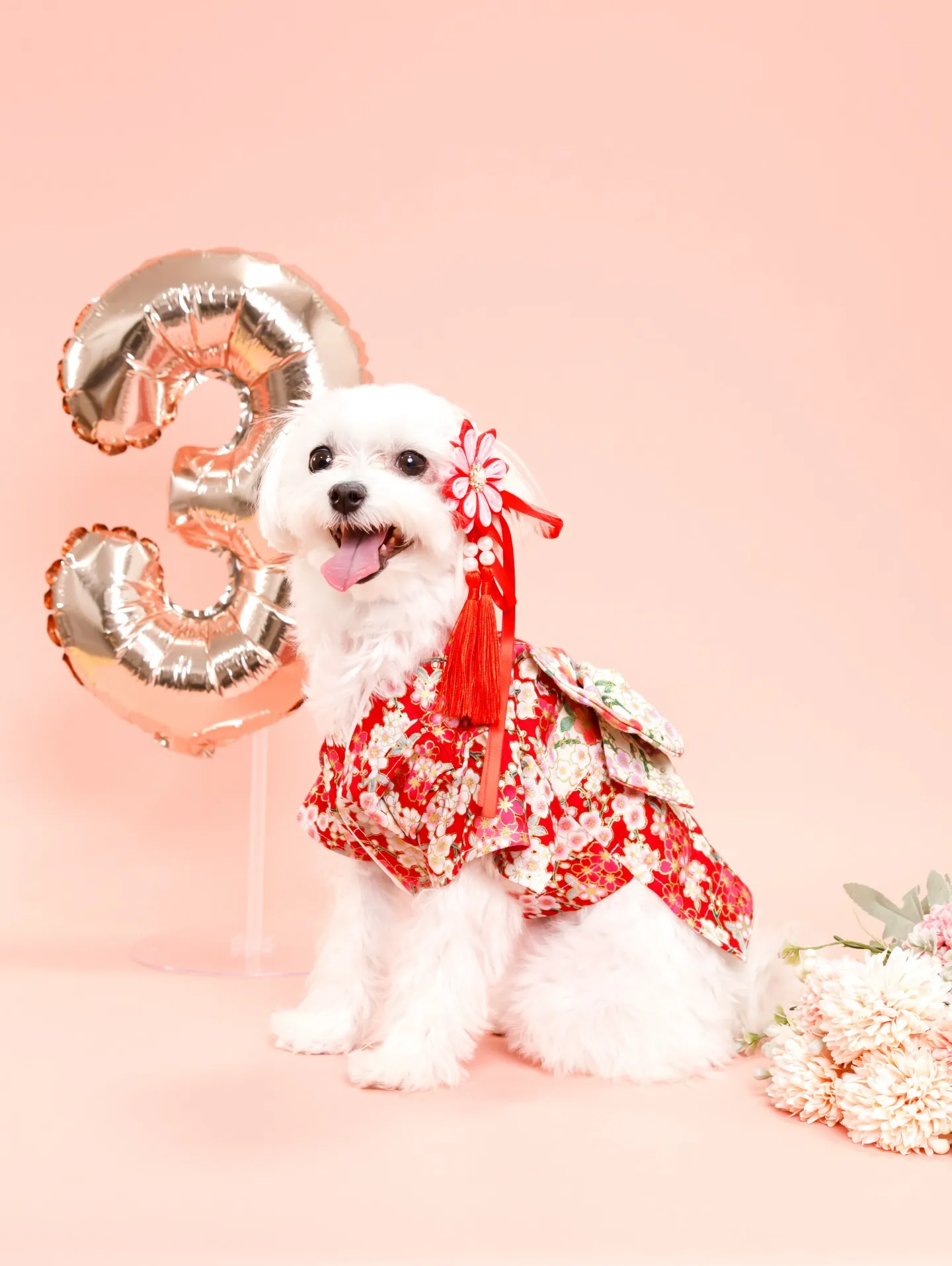 【PINK Backdrop -着物撮影-】