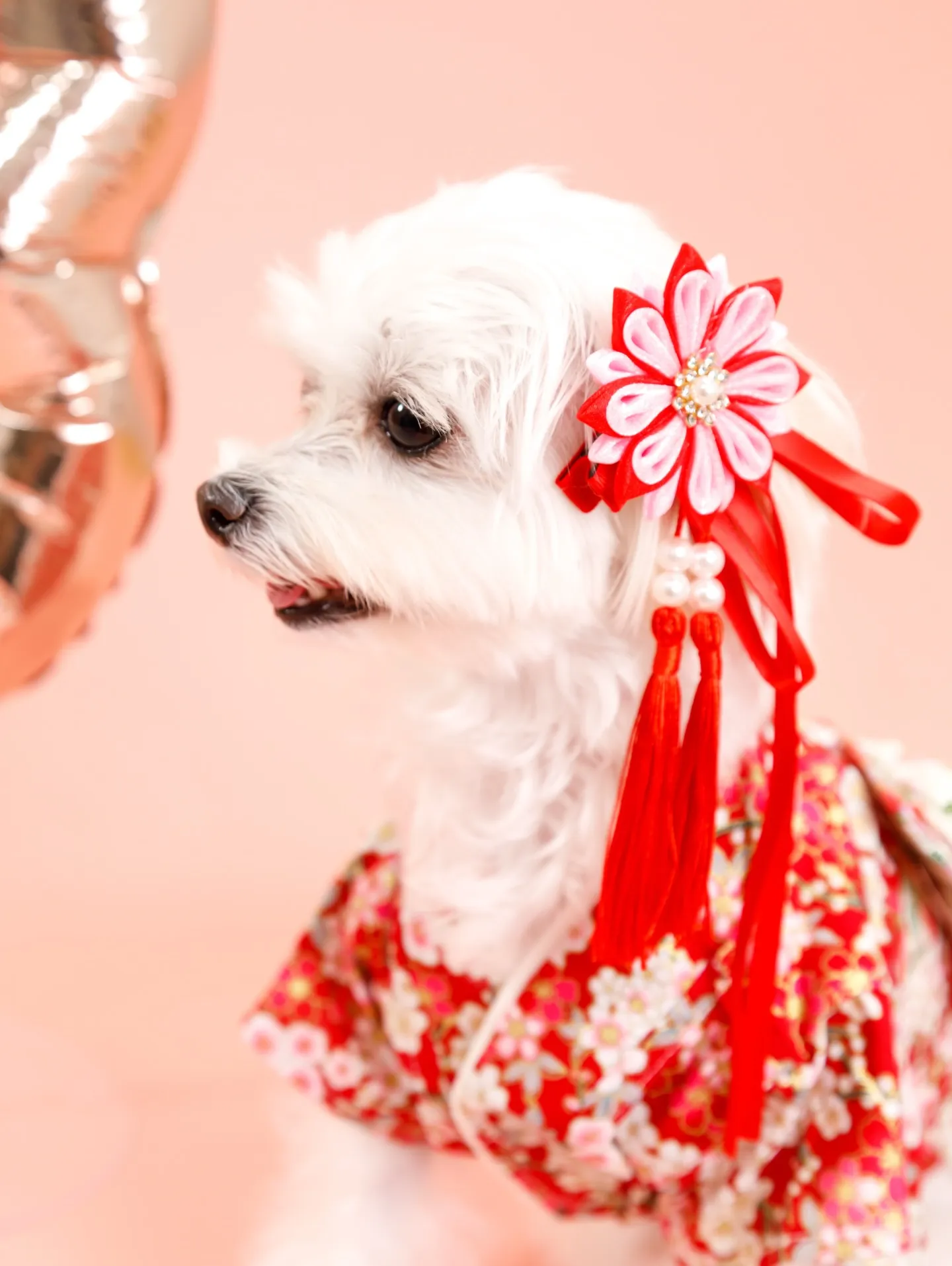 【PINK Backdrop -着物撮影-】