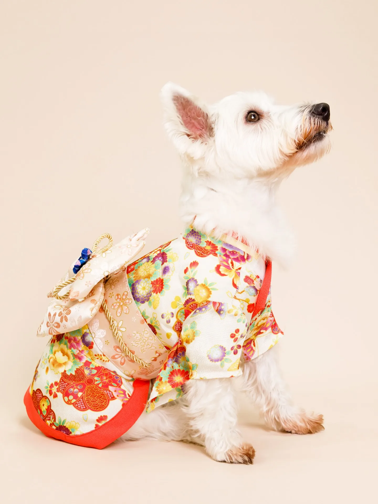 【BEIGE Backdrop -着物撮影-】