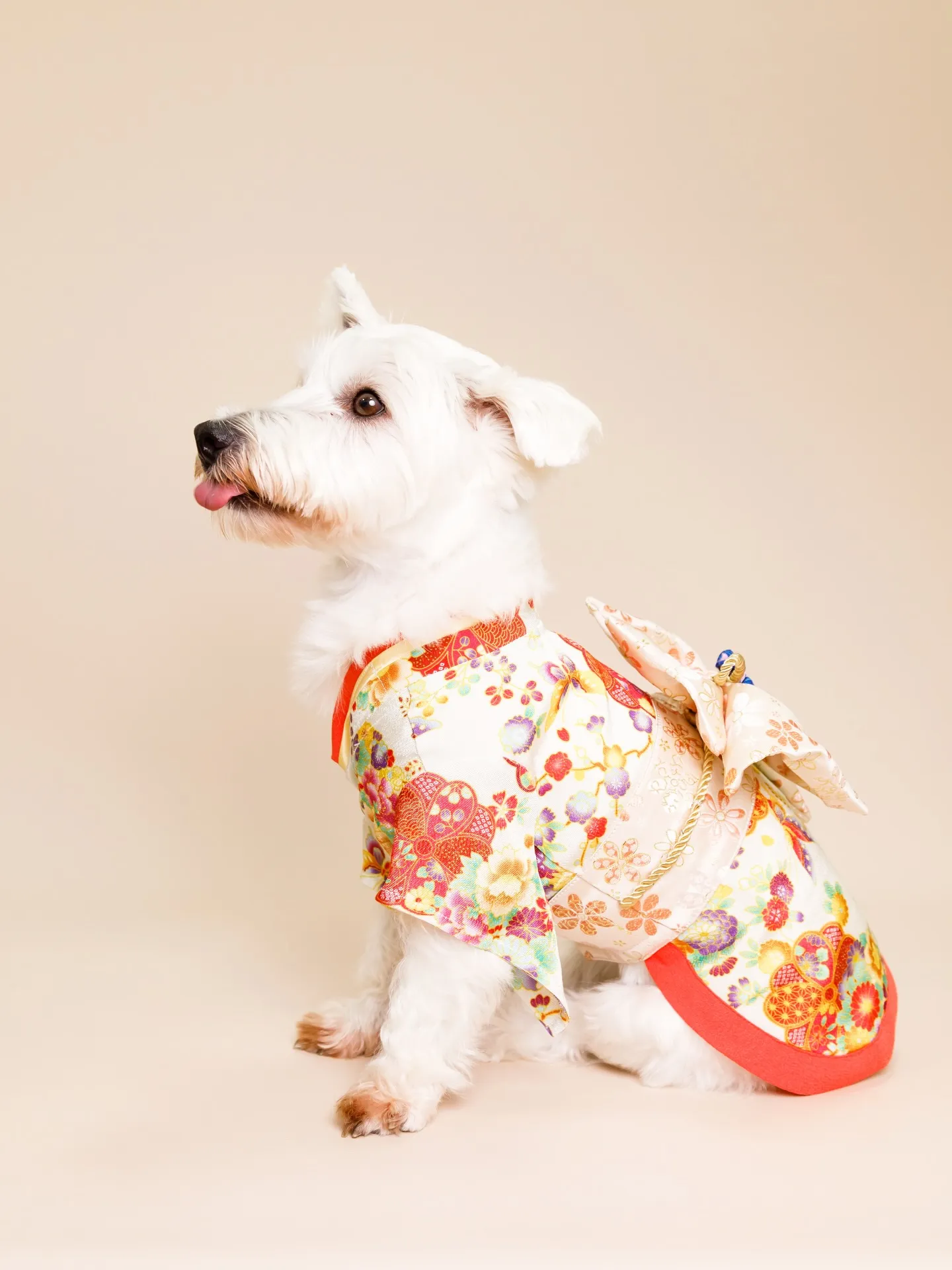 【BEIGE Backdrop -着物撮影-】