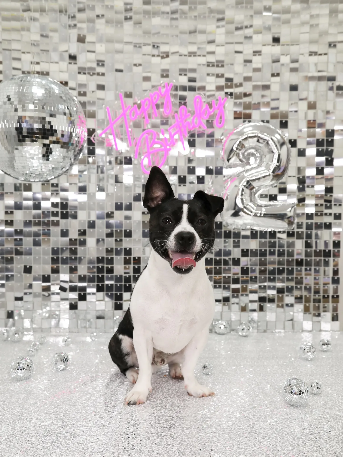 【Birthday Booth -SILVER DISCO-...