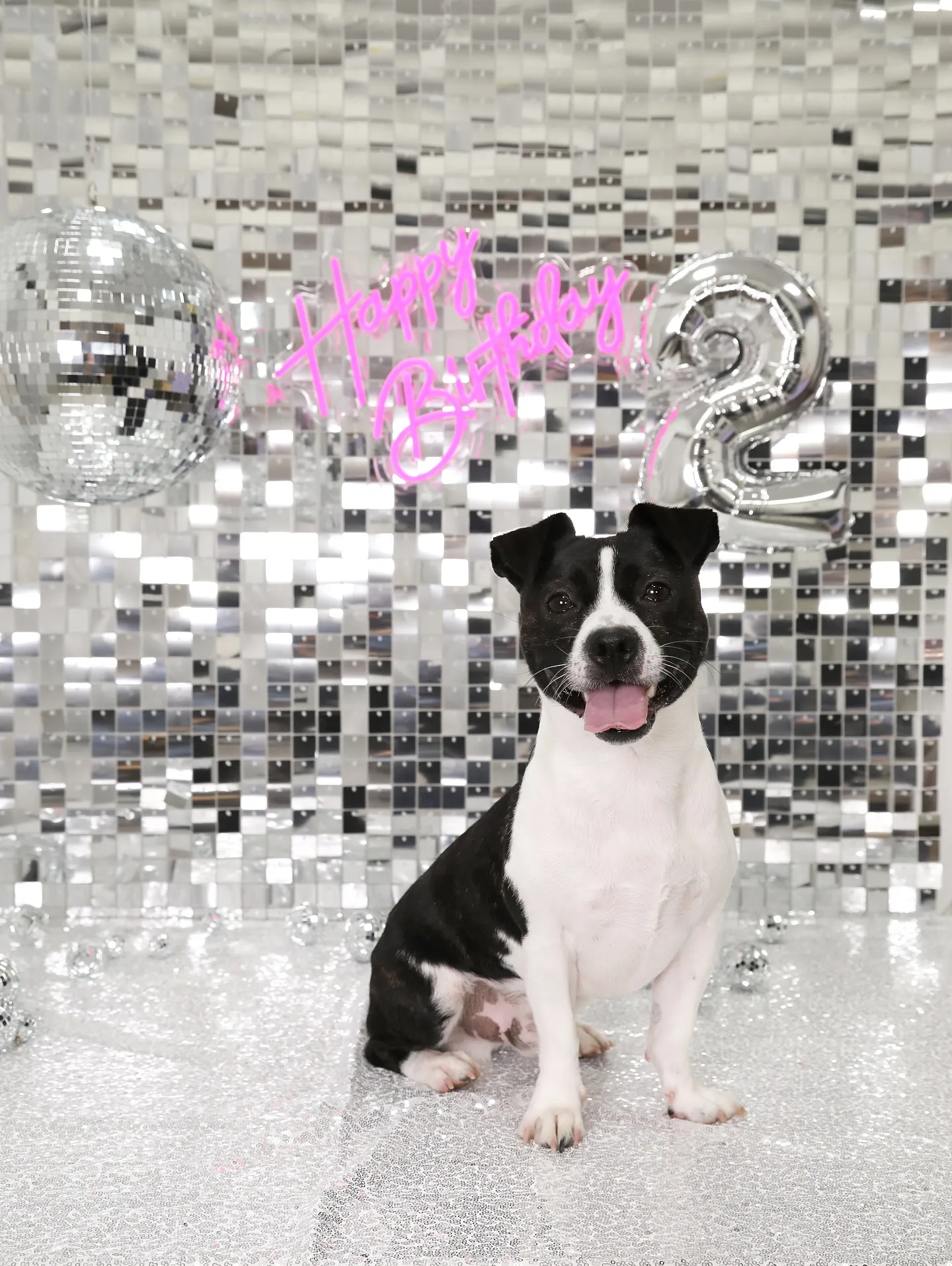 【Birthday Booth -SILVER DISCO-...
