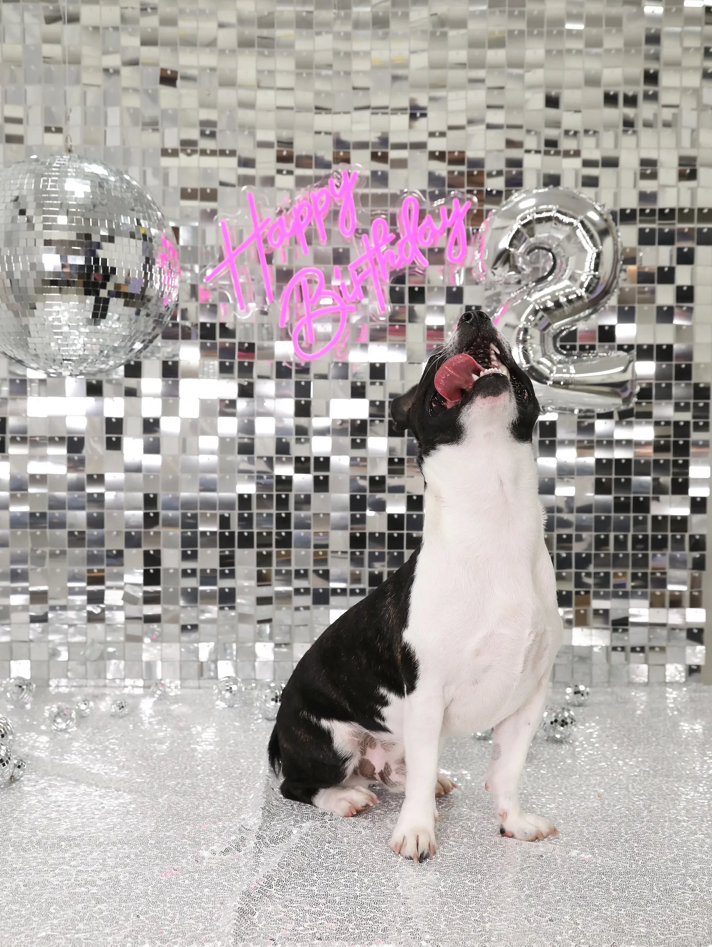 【Birthday Booth -SILVER DISCO-...