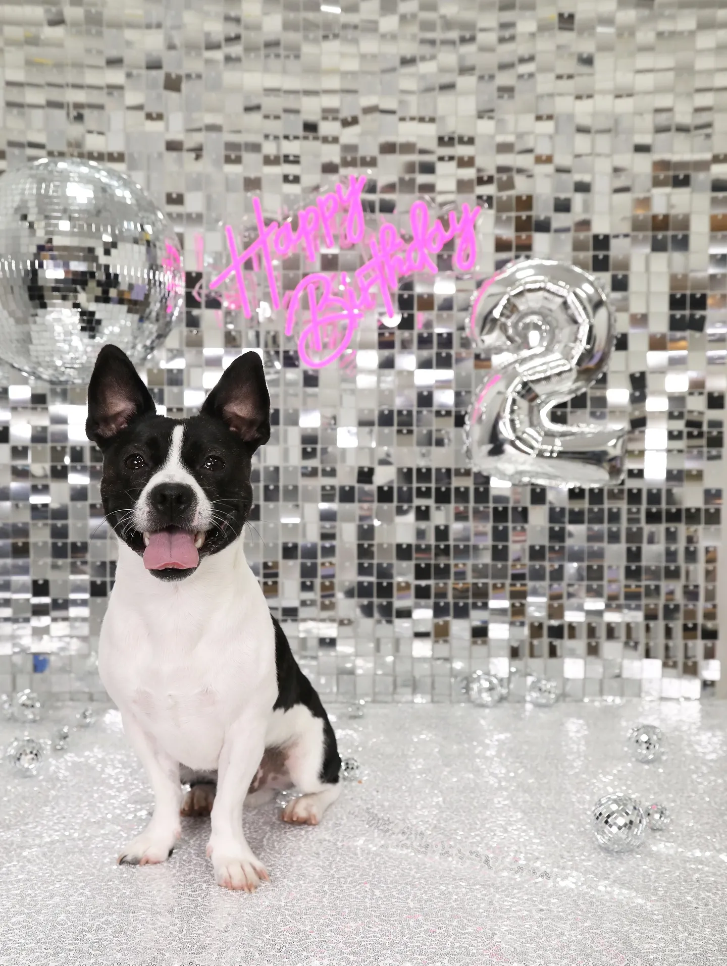 【Birthday Booth -SILVER DISCO-...