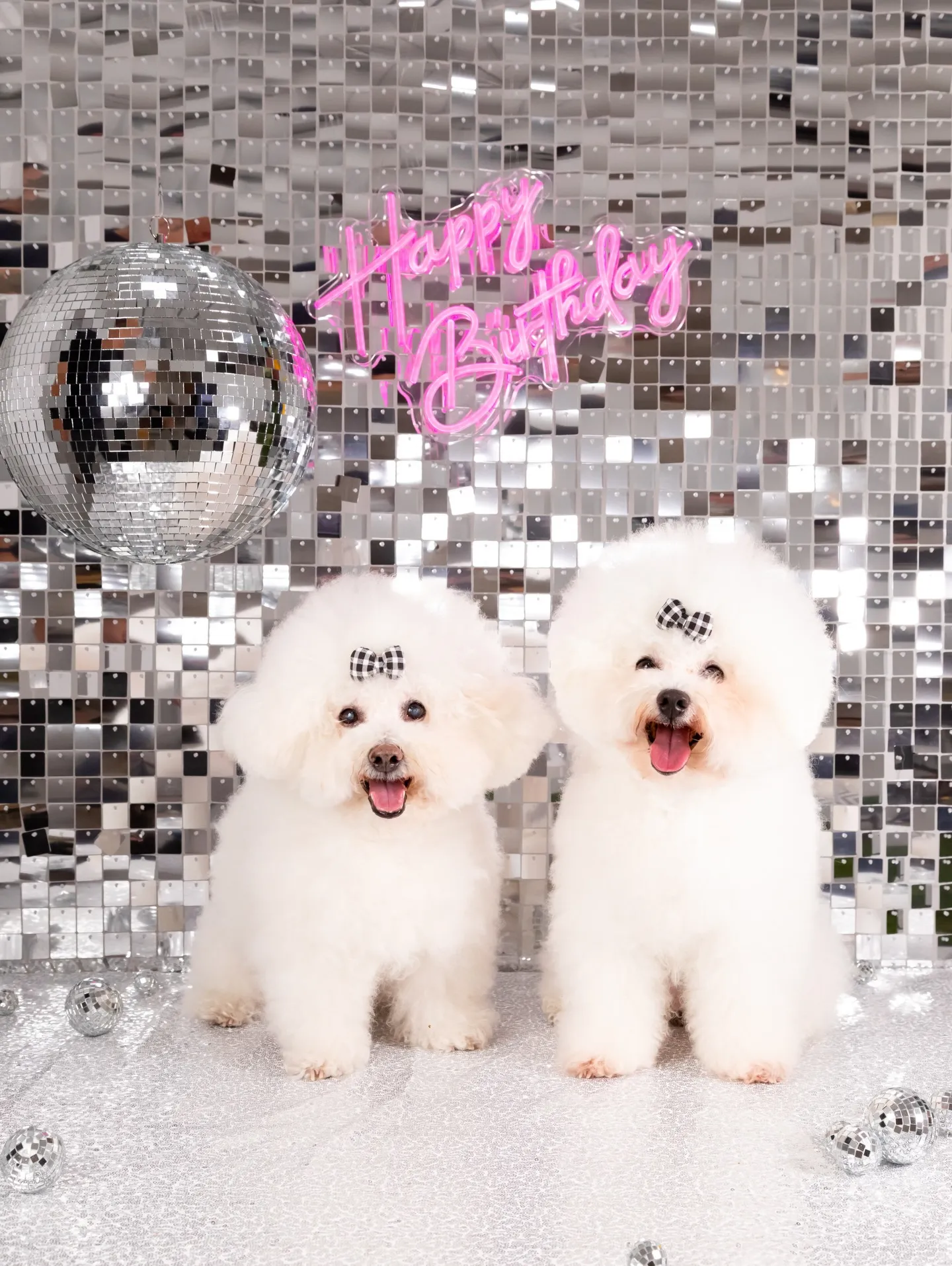 【Birthday Booth -SILVER DISCO-...
