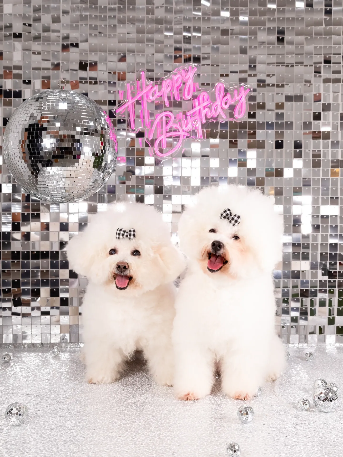 【Birthday Booth -SILVER DISCO-...