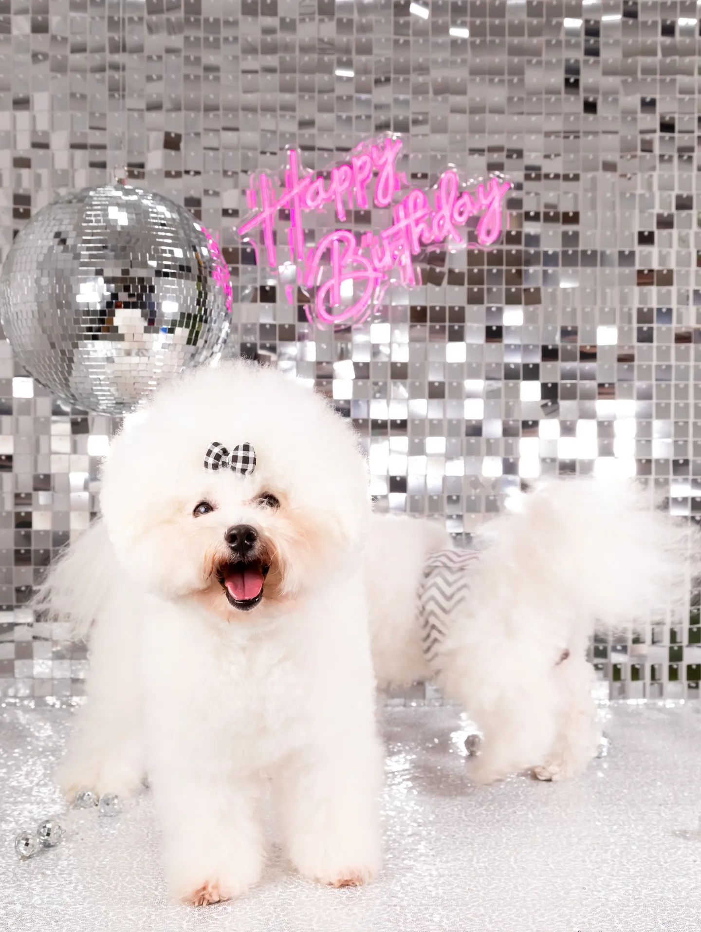 【Birthday Booth -SILVER DISCO-...