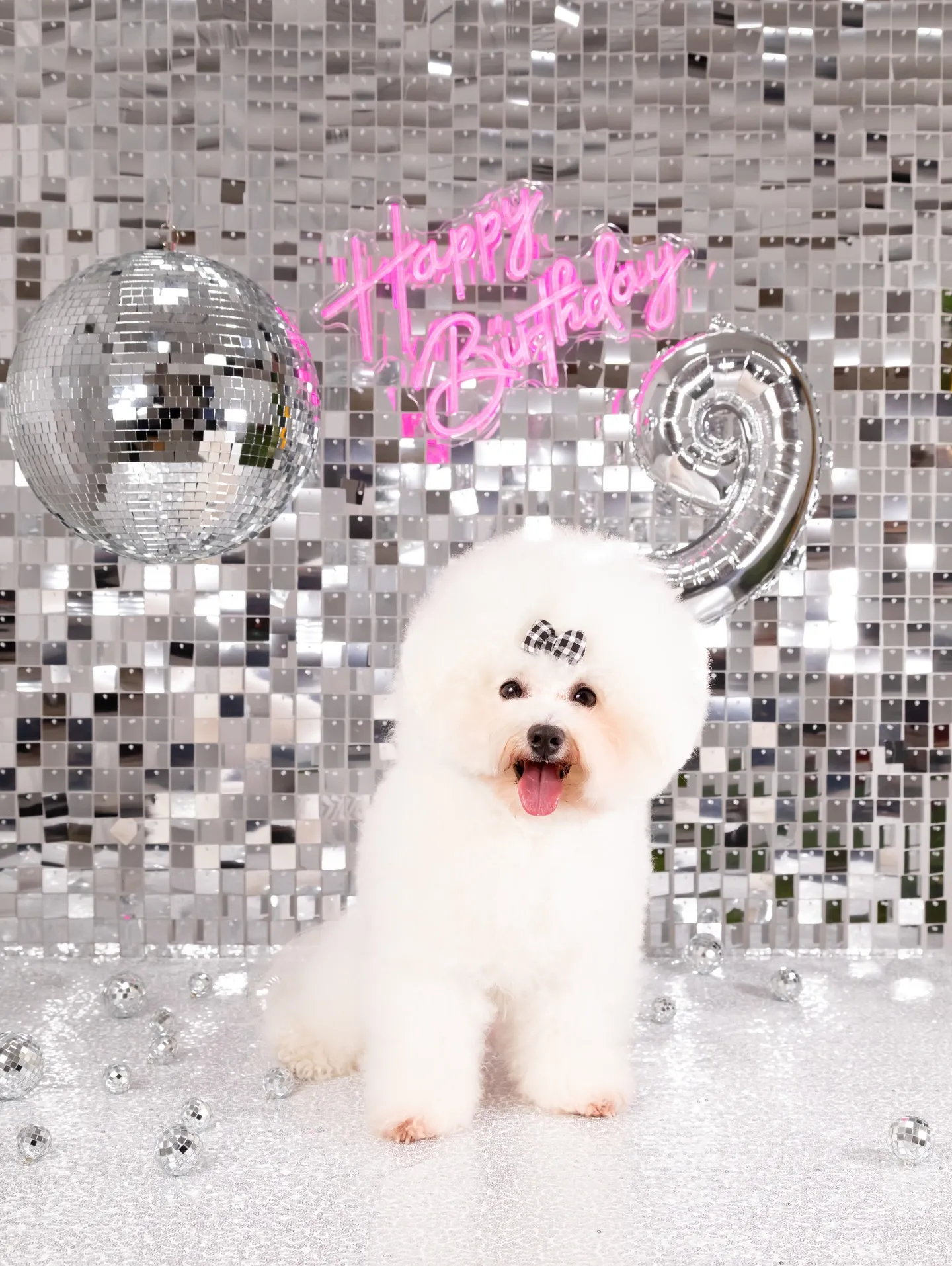 【Birthday Booth -SILVER DISCO-...