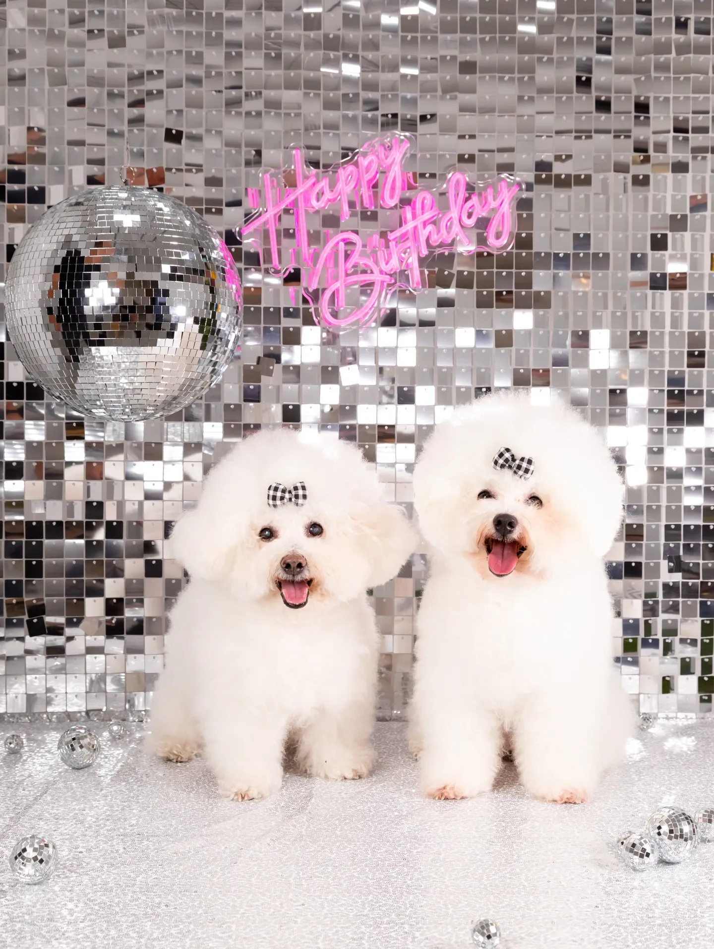 【Birthday Booth -SILVER DISCO-...