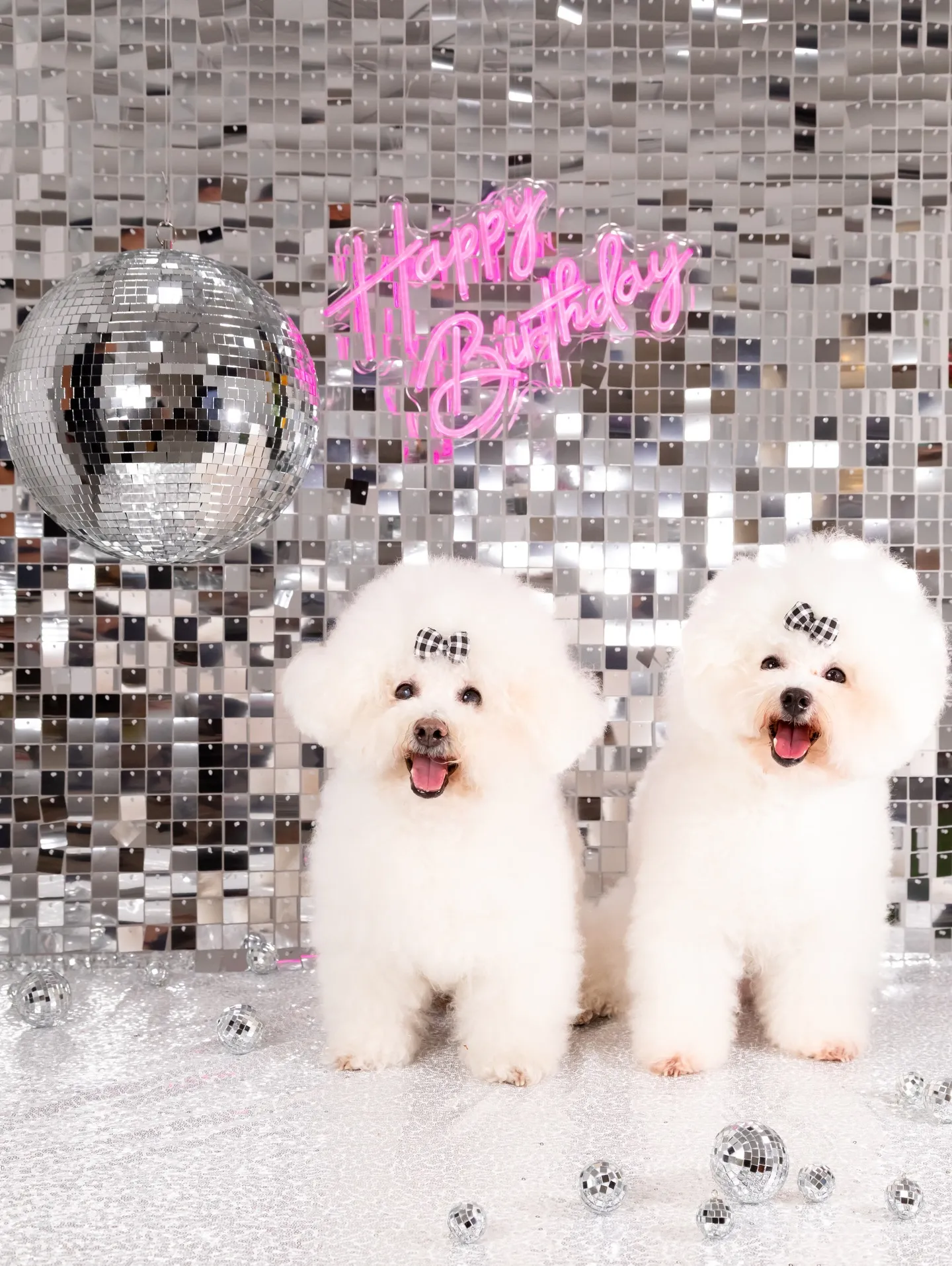 【Birthday Booth -SILVER DISCO-...