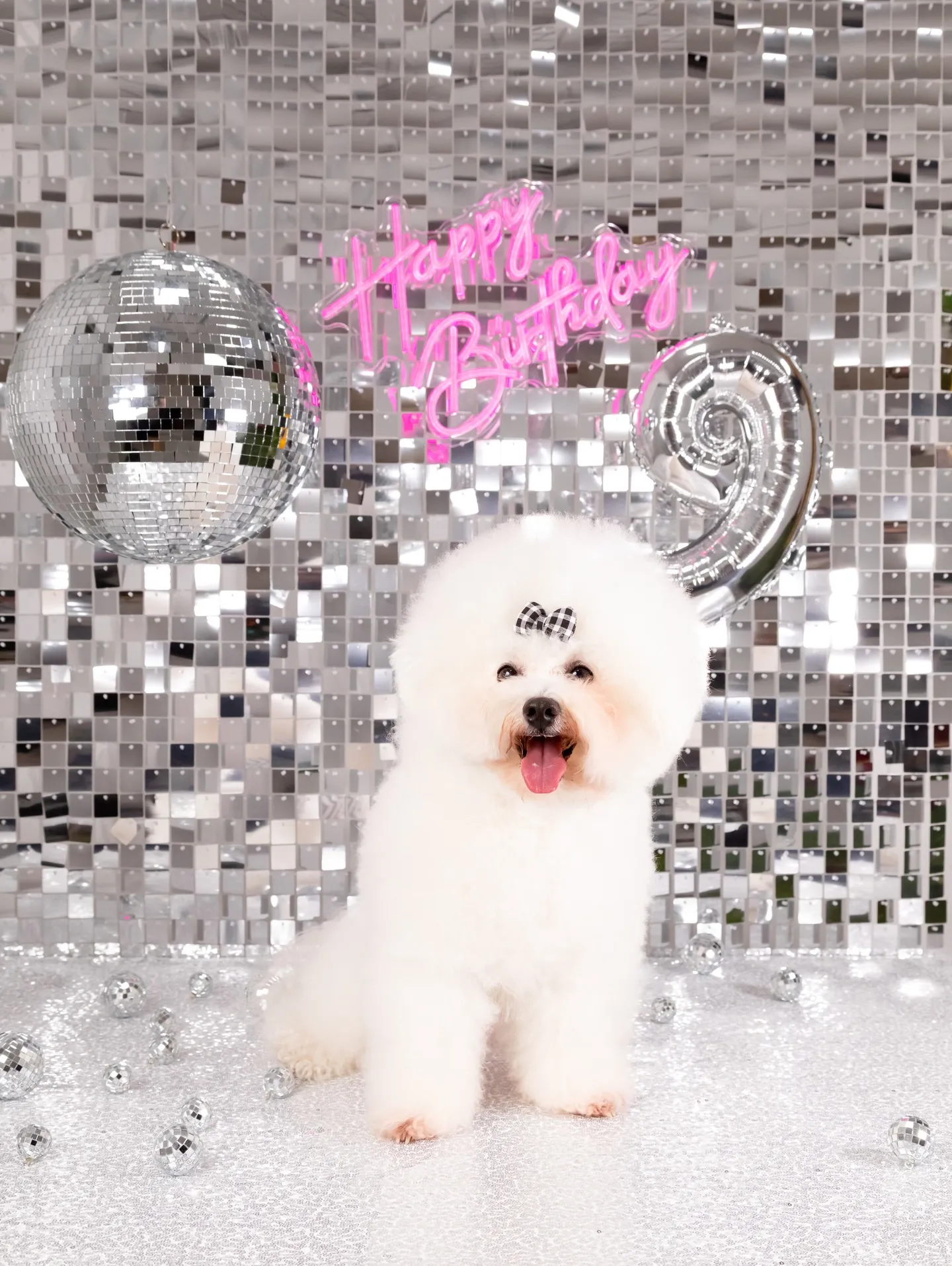 【Birthday Booth -SILVER DISCO-...