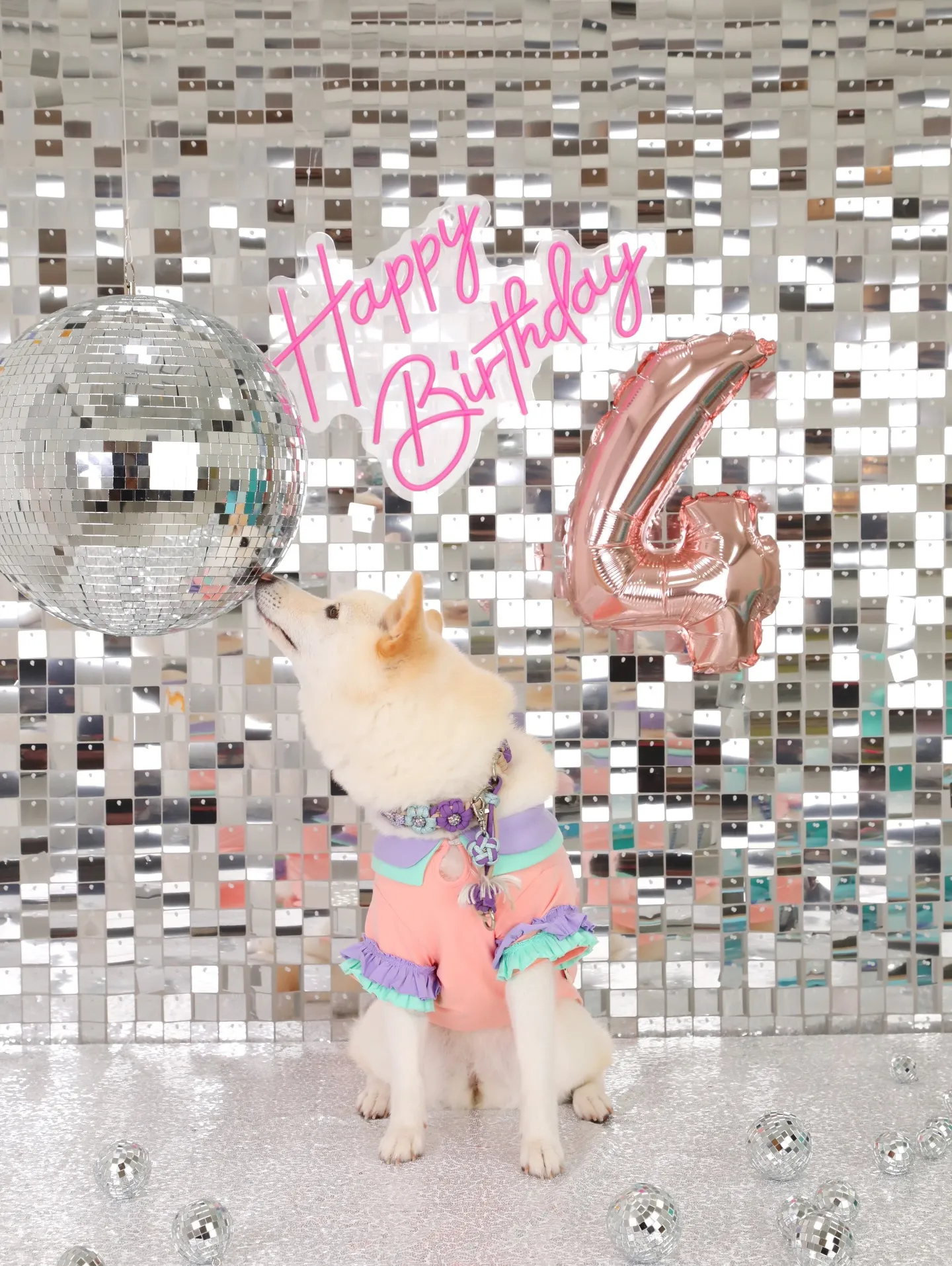 【BARTHIRDAY photoshoot -SILVER...