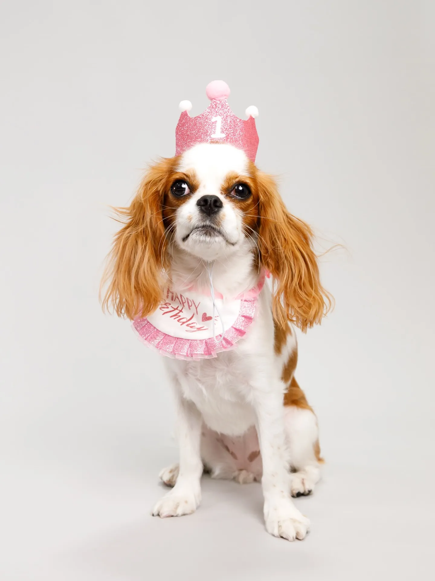 【Light-GRAY Backdrop Photoshoo...