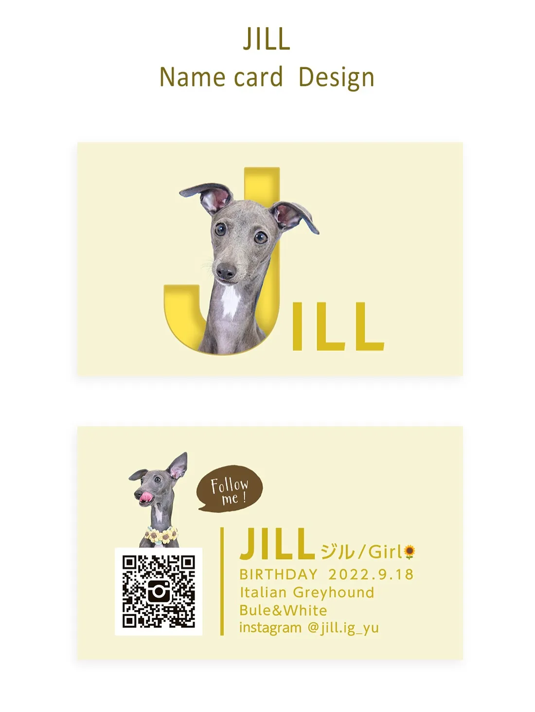 【うちの子名刺／アルファベットART／1頭デザイン】