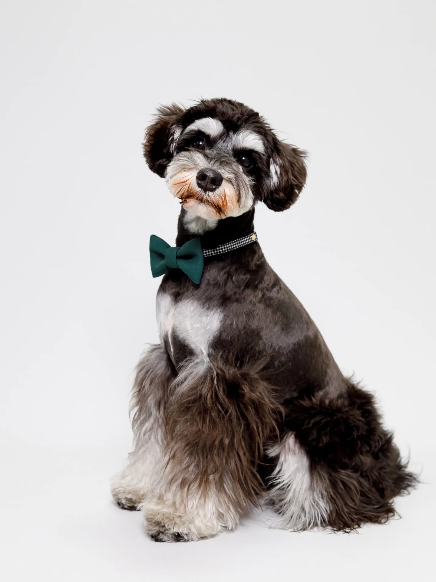 【Light-GRAY Backdrop photoshoo...