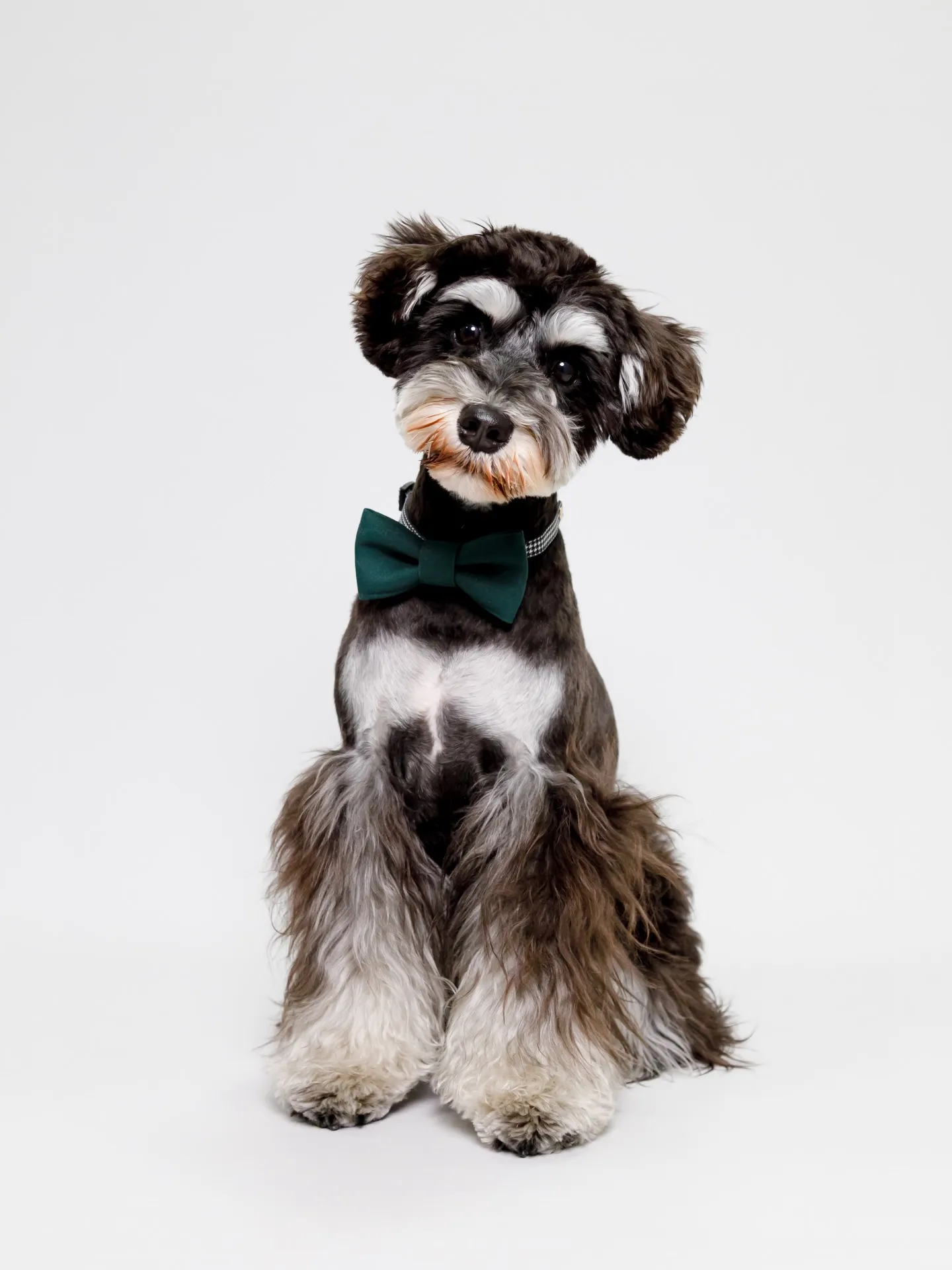 【Light-GRAY Backdrop photoshoo...