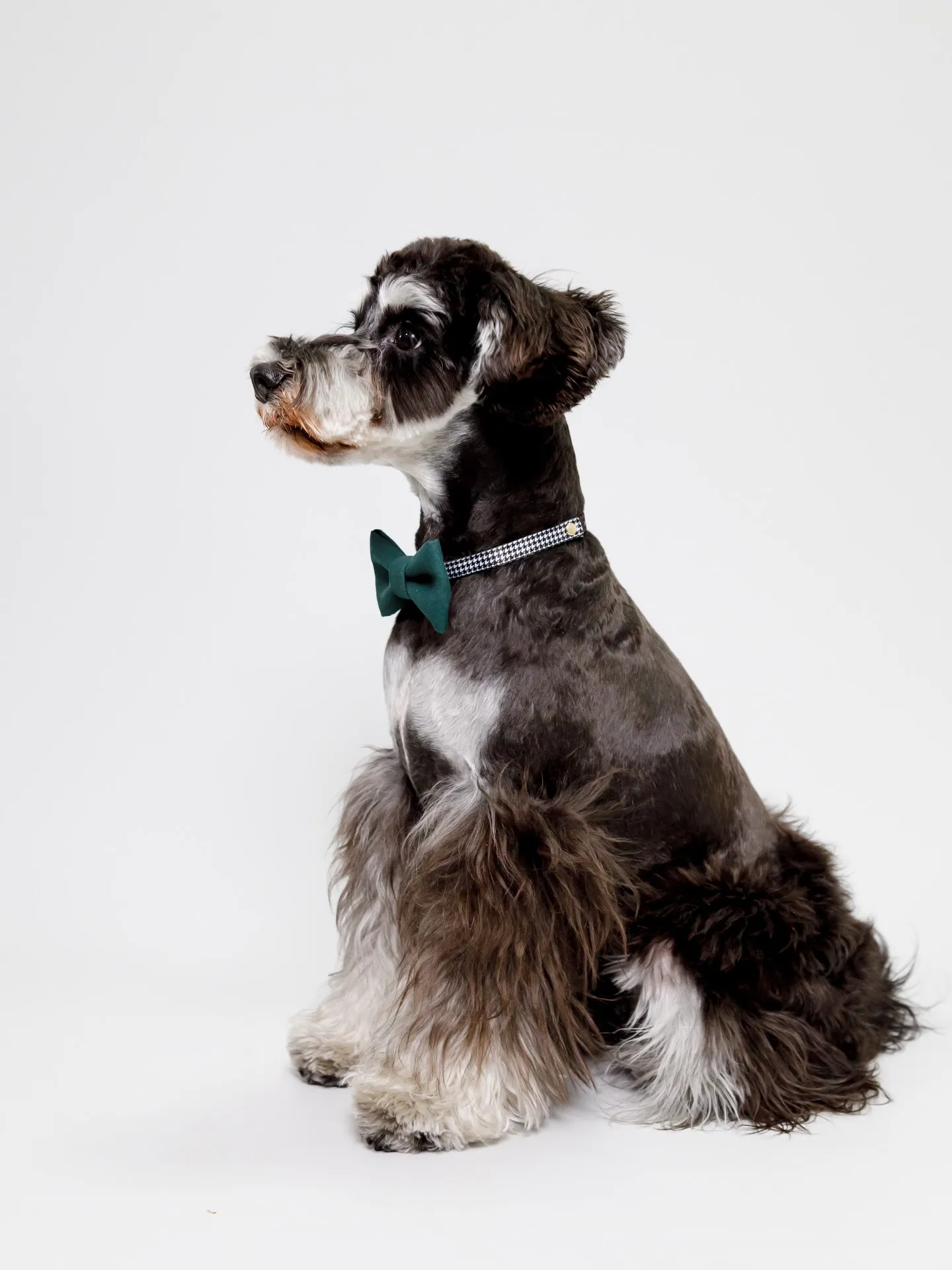 【Light-GRAY Backdrop photoshoo...