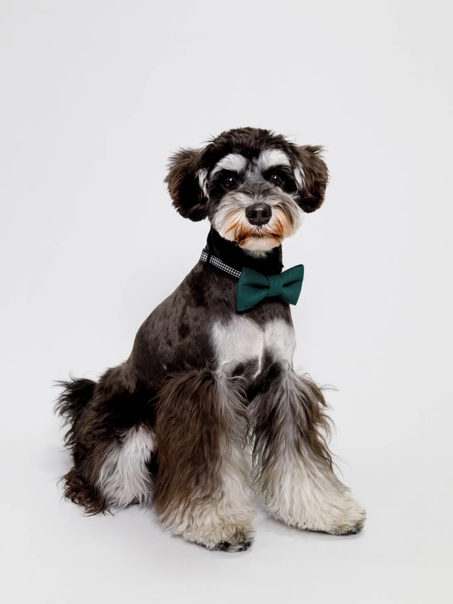 【Light-GRAY Backdrop photoshoo...