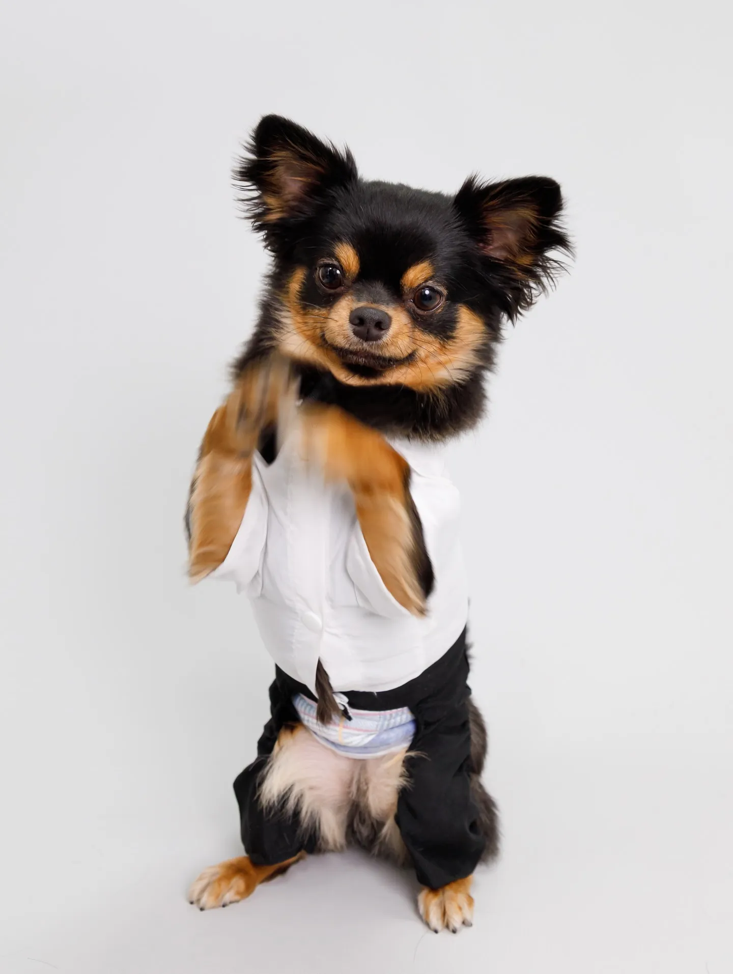 【Light-GRAY Backdrop photoshoo...