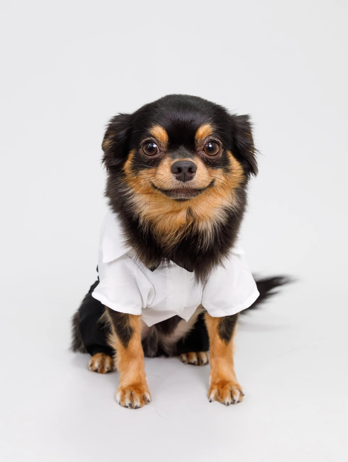 【Light-GRAY Backdrop photoshoo...