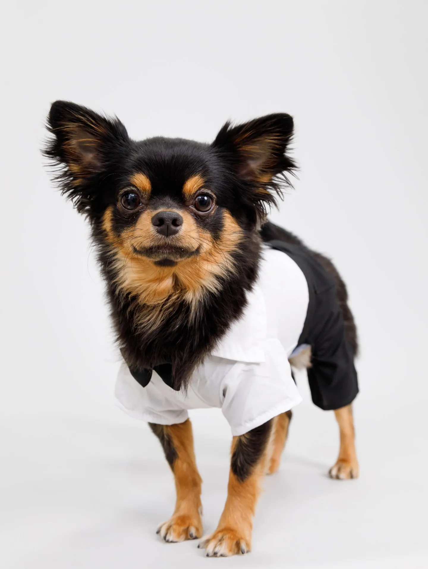 【Light-GRAY Backdrop photoshoo...