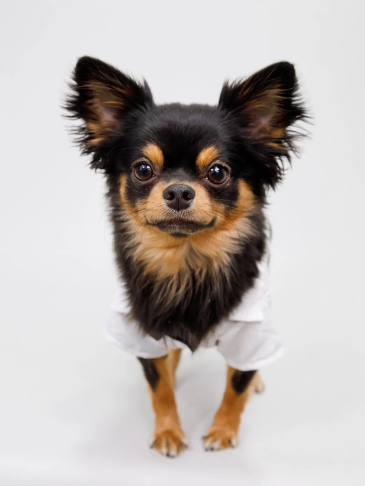 【Light-GRAY Backdrop photoshoo...