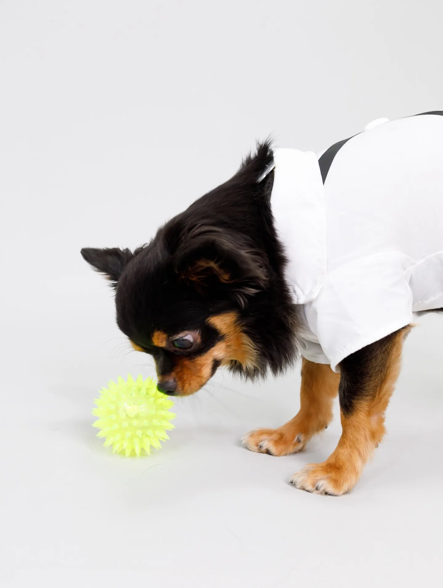 【Light-GRAY Backdrop photoshoo...