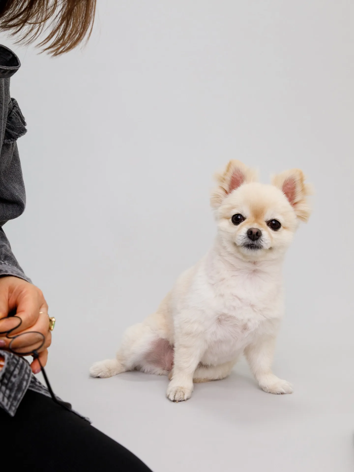 【Light-GRAY Backdrop photoshoo...