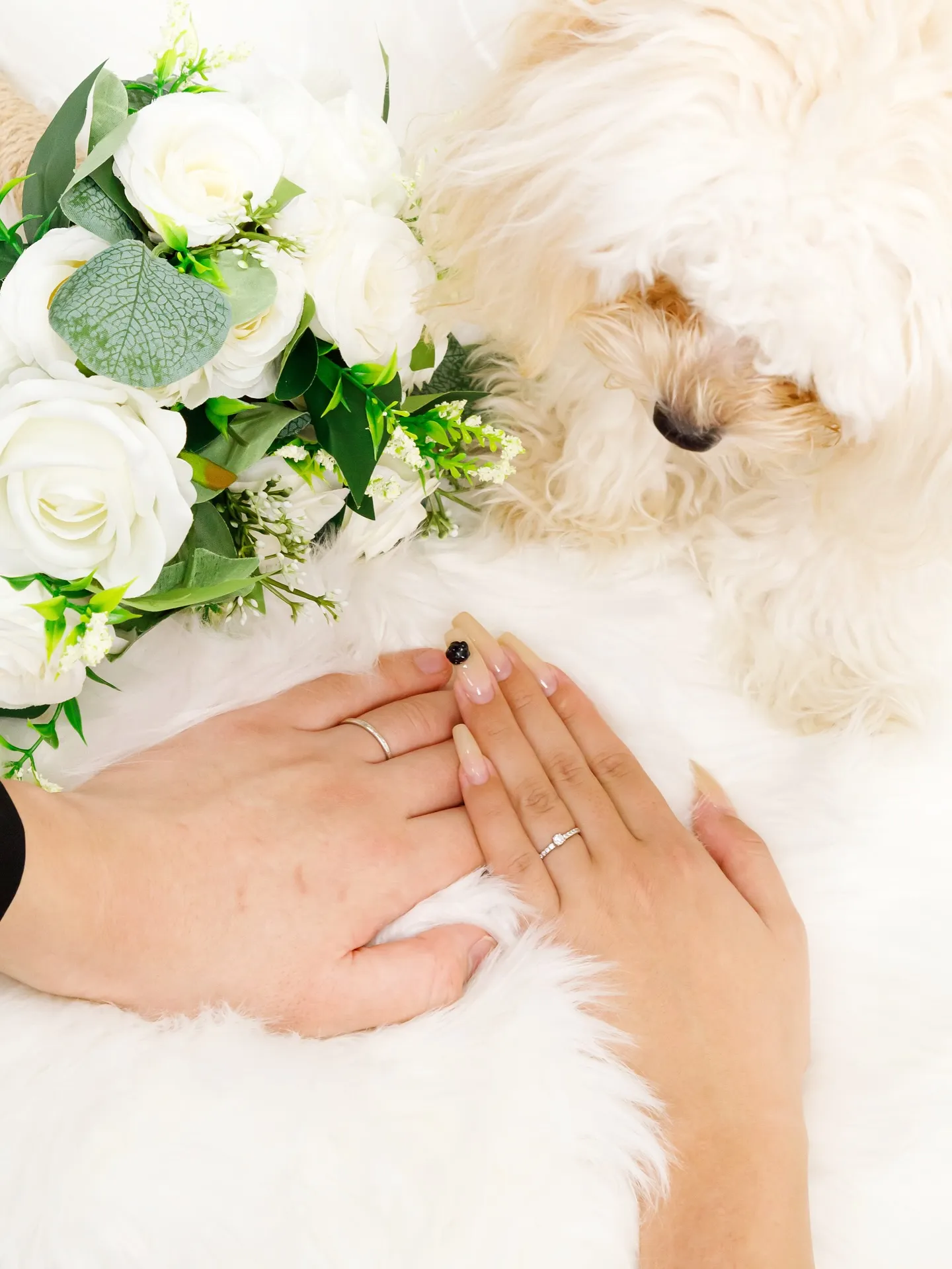 【ご入籍記念💍SOLO&家族Photo】