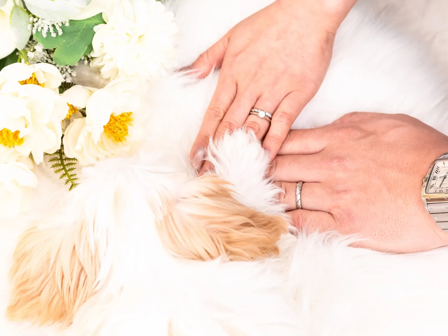 【ご入籍記念💍SOLO&家族Photo】