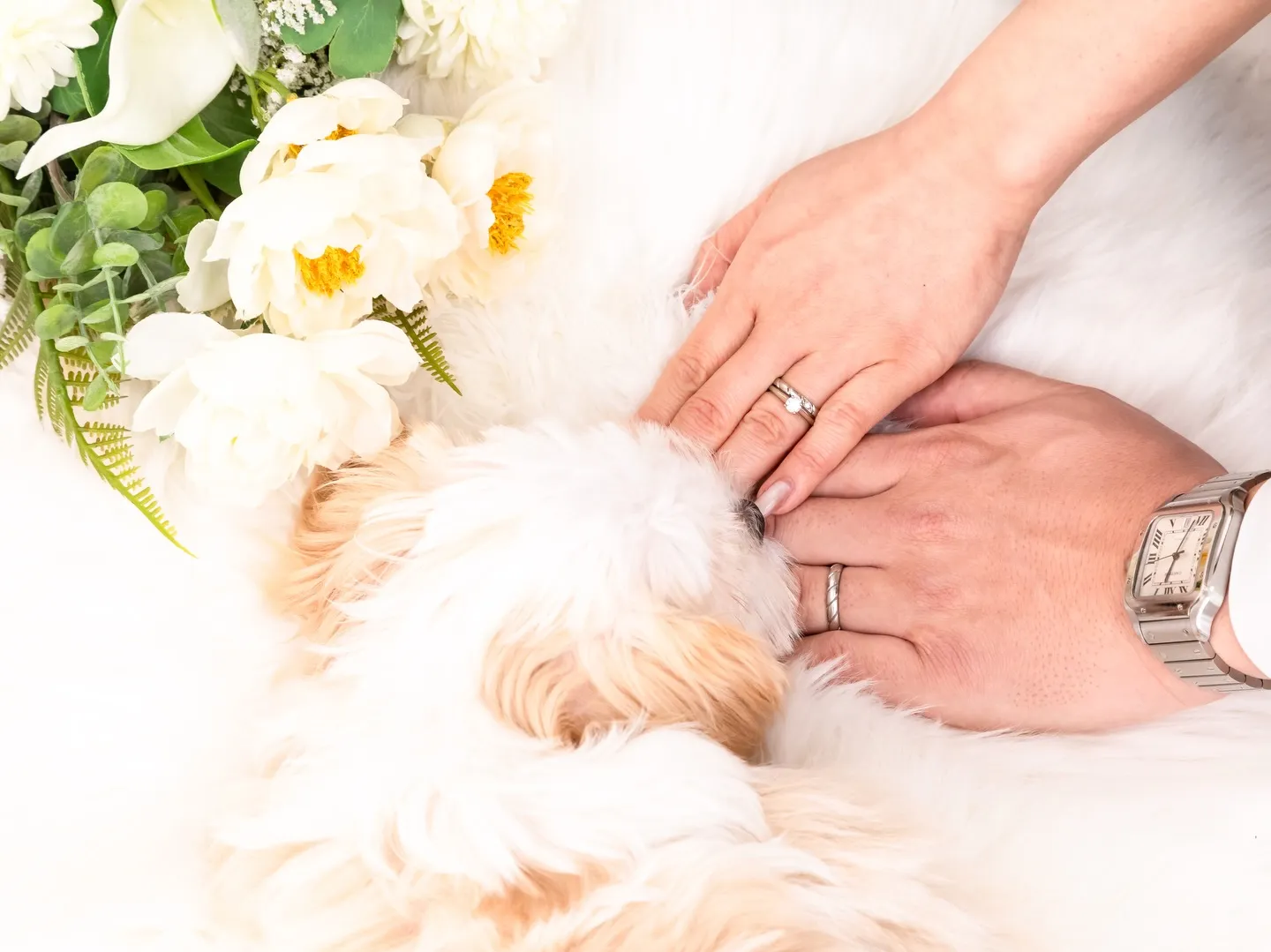 【ご入籍記念💍SOLO&家族Photo】