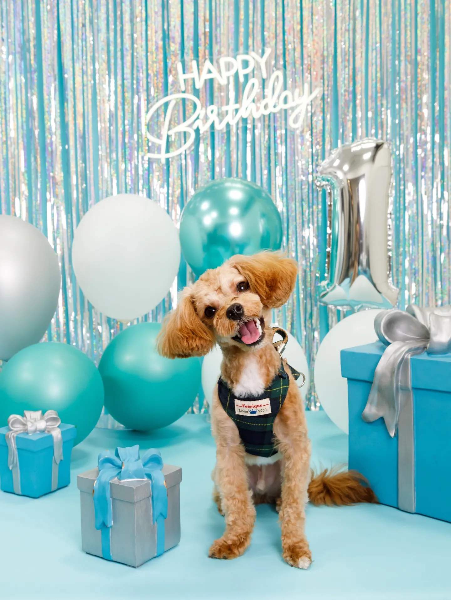 【Birthday Photobofth🗽-水色-】