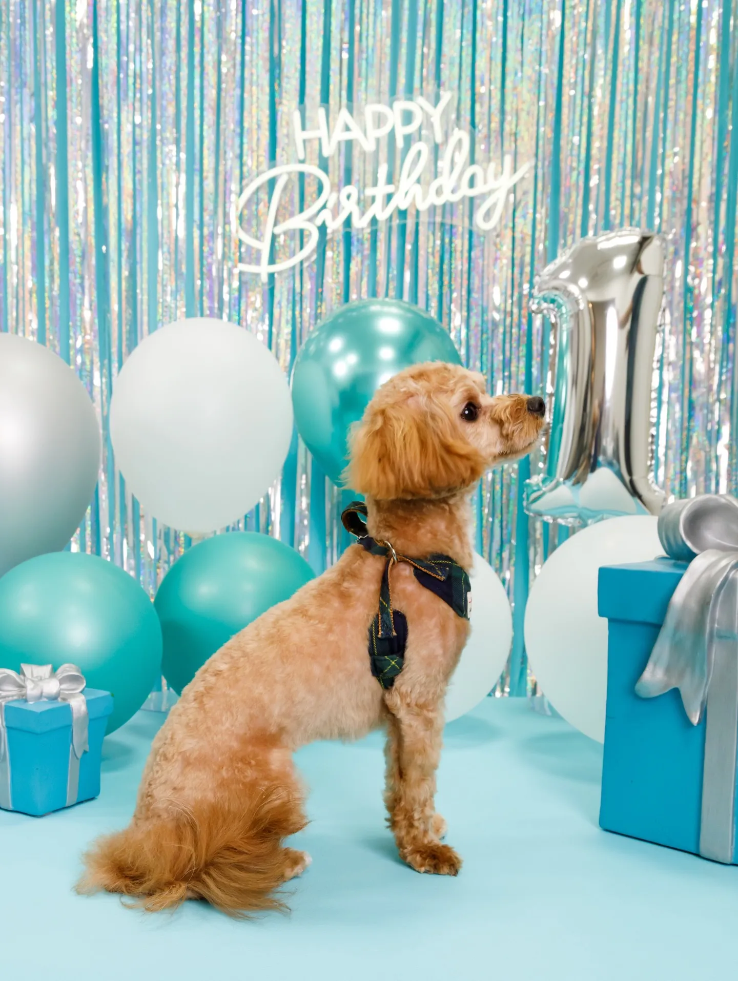 【Birthday Photobofth🗽-水色-】