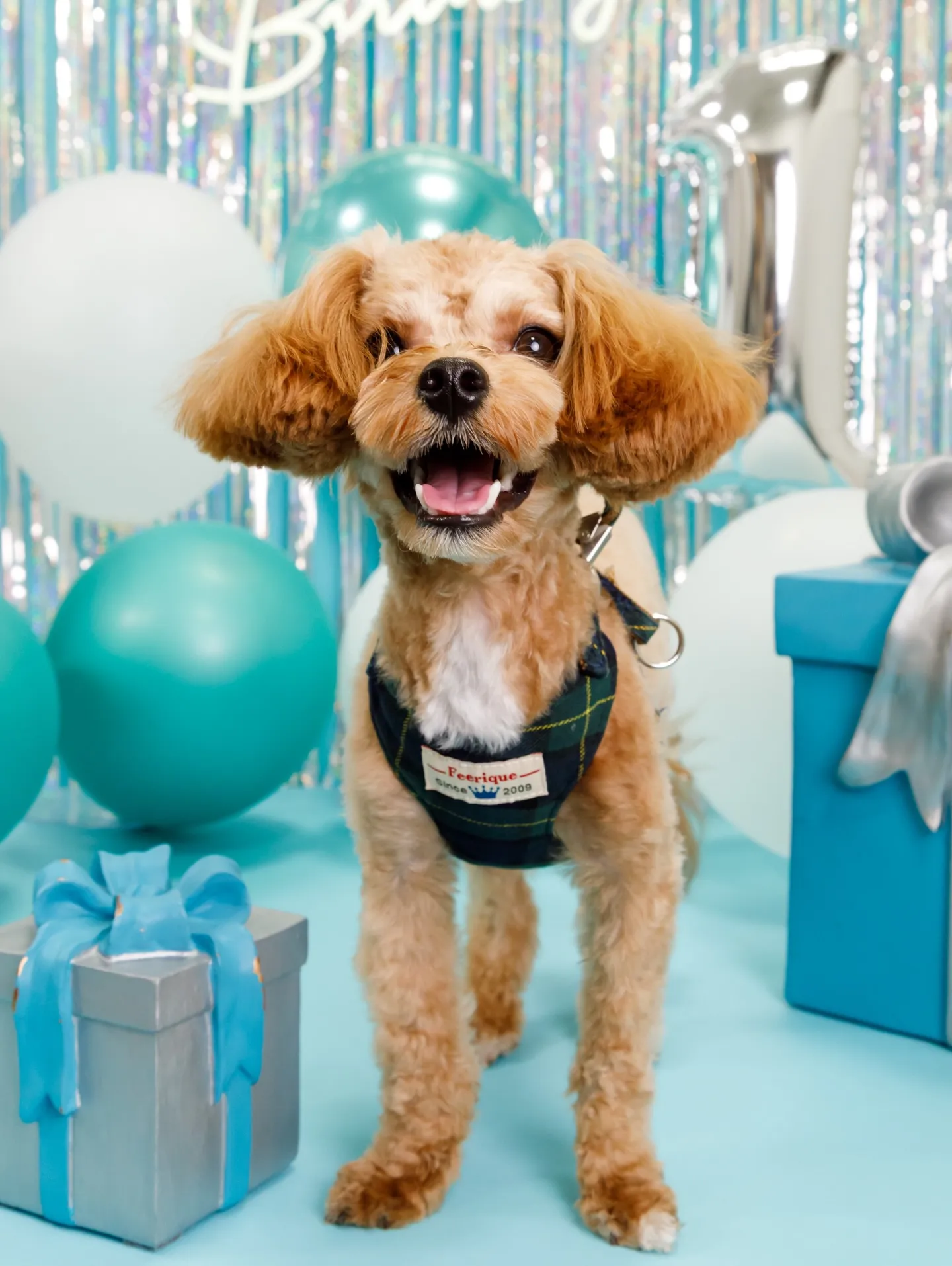 【Birthday Photobofth🗽-水色-】