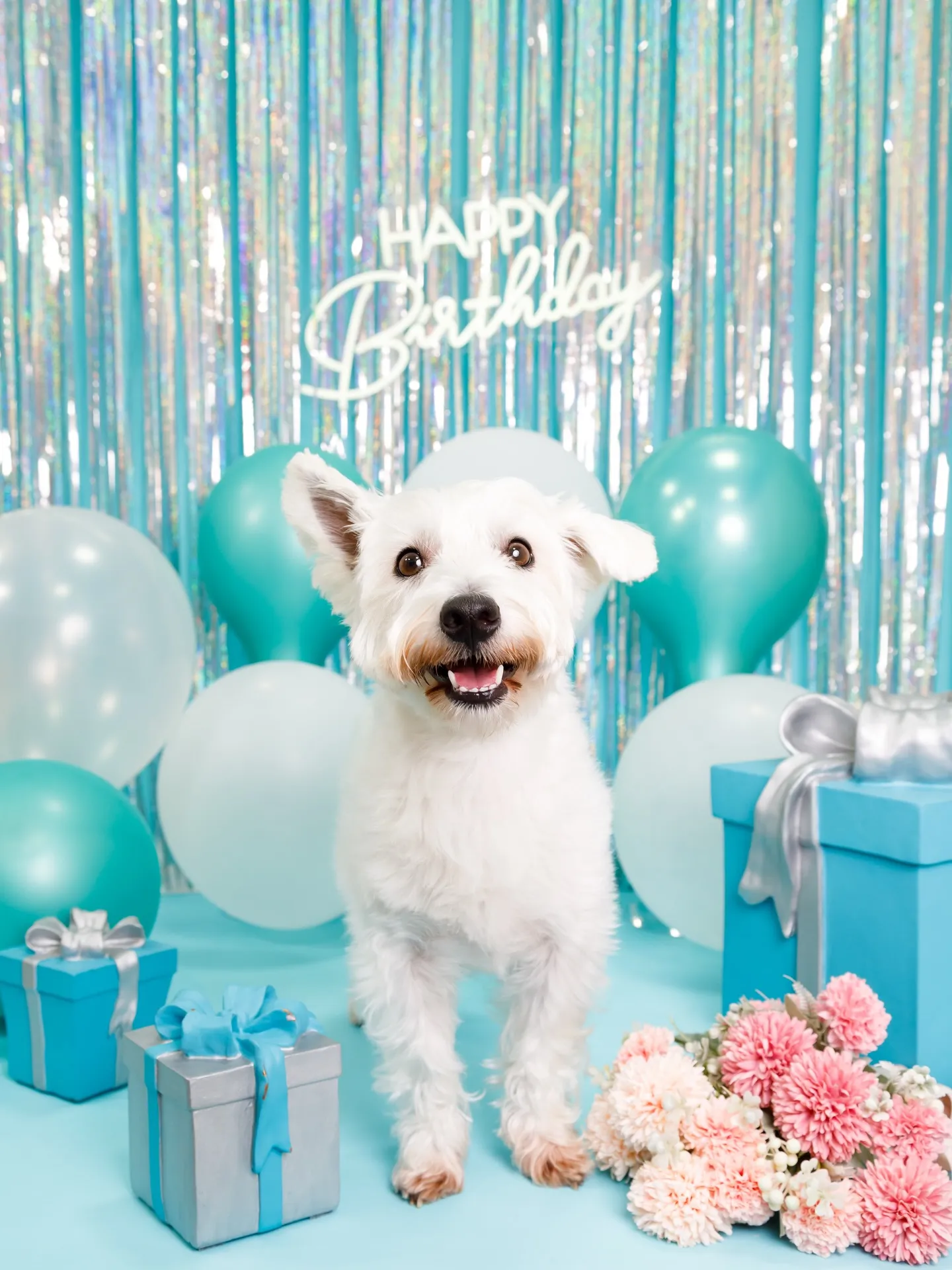 【Birthday Photobofth🗽-水色-】